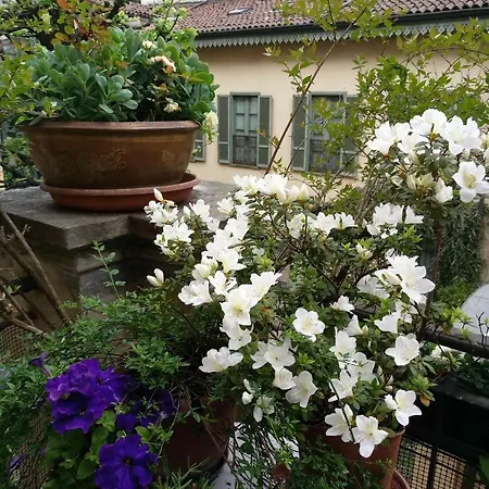 Panzió Della Rocca *