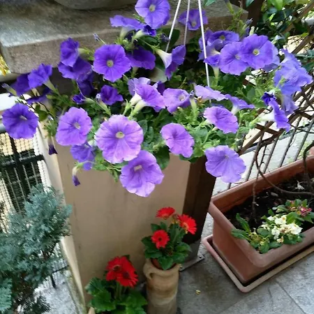Della Rocca Bed & Breakfast Turin