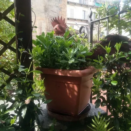 Della Rocca Turin